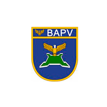 BAPV (1)